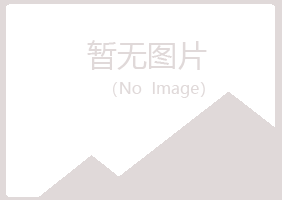 北海紫山建设有限公司